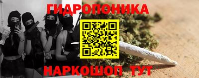 СК Балахна
