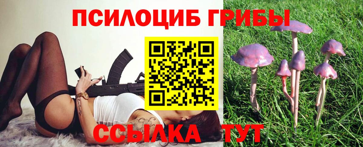 Псилоцибиновые грибы мухоморы Гатчина