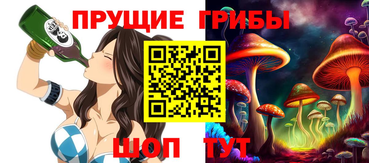Гатчина  Псилоцибиновые грибы Cubensis  Вход с VPN 